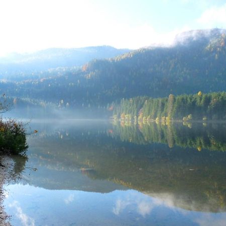 Ferienwohnung Neuper Bad Mitterndorf Buitenkant foto