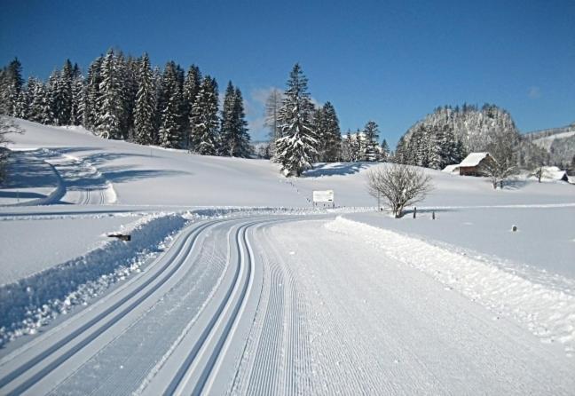 Ferienwohnung Neuper Bad Mitterndorf Buitenkant foto